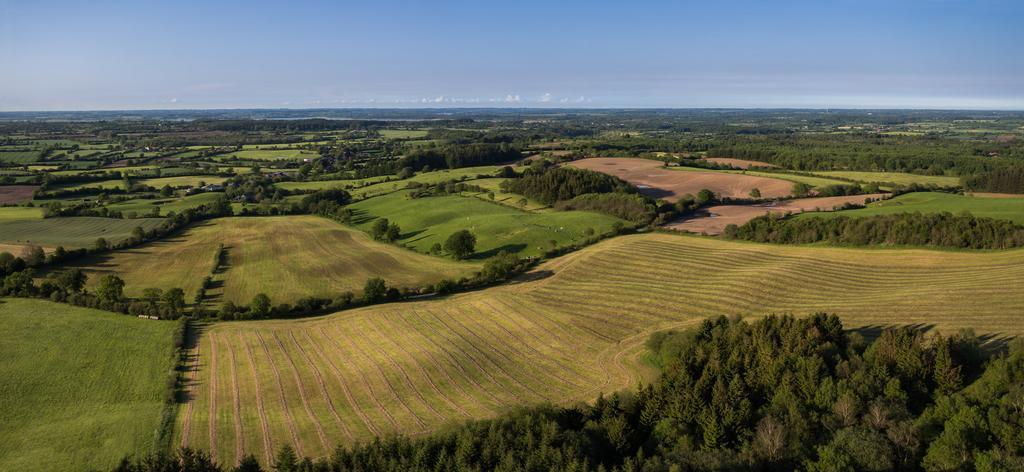 Panorama Hotel Aschberg Ascheffel Buitenkant foto